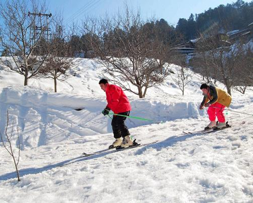 Himachal Tour Package